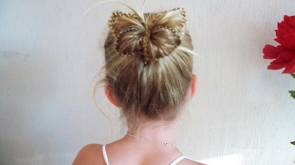 Butterfly Braid